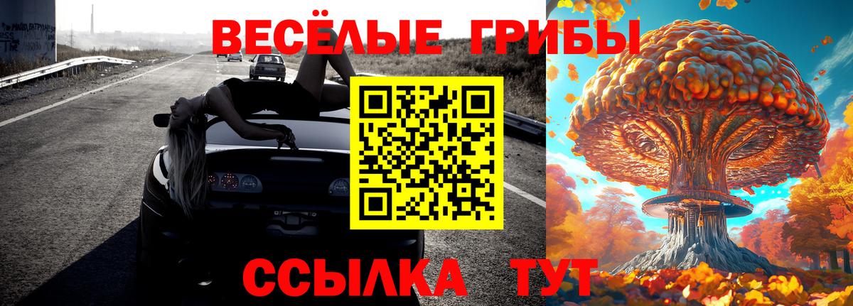 Псилоцибиновые грибы Psilocybe  Вход с VPN  Ноябрьск  Галлюциногенные грибы GOLDEN TEACHER 